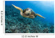 Hawaii, Green Sea Turtle Gliding Through The Water Wall Mural