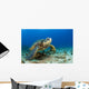Hawaii, Green Sea Turtle On Ocean Floor, Endangered Species Wall Mural
