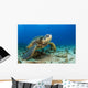 Hawaii, Green Sea Turtle On Ocean Floor, Endangered Species Wall Mural