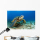Hawaii, Green Sea Turtle On Ocean Floor, Endangered Species Wall Mural