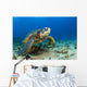 Hawaii, Green Sea Turtle On Ocean Floor, Endangered Species Wall Mural