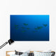 Hawaii, Maui, Spotted Eagle Rays In Blue Ocean Water, View From Behind Wall Mural