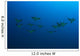 Hawaii, Maui, Spotted Eagle Rays In Blue Ocean Water, View From Behind Wall Mural