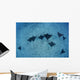 Hawaii, Oahu, Spotted Eagle Rays Wall Mural
