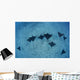 Hawaii, Oahu, Spotted Eagle Rays Wall Mural