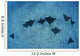 Hawaii, Oahu, Spotted Eagle Rays Wall Mural