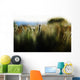 Colorful Field Of Various Plants And Grasses Wall Mural