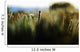 Colorful Field Of Various Plants And Grasses Wall Mural