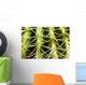 Barrel Cactus, Close-Up Of Thorns Wall Mural