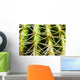 Barrel Cactus, Close-Up Of Thorns Wall Mural