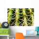 Barrel Cactus, Close-Up Of Thorns Wall Mural