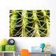 Barrel Cactus, Close-Up Of Thorns Wall Mural