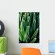 Yucca Plant Wall Mural