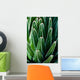 Yucca Plant Wall Mural