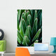 Yucca Plant Wall Mural