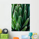 Yucca Plant Wall Mural