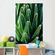 Yucca Plant Wall Mural