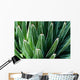 Yucca Plant Wall Mural
