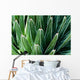 Yucca Plant Wall Mural