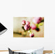 Close-up of Pink Budding Flower Wall Mural