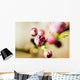Close-up of Pink Budding Flower Wall Mural