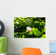 Pink Lotus Flowers Growing Among Leaves Wall Mural