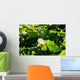 Pink Lotus Flowers Growing Among Leaves Wall Mural