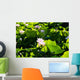 Pink Lotus Flowers Growing Among Leaves Wall Mural