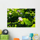Pink Lotus Flowers Growing Among Leaves Wall Mural
