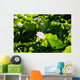 Pink Lotus Flowers Growing Among Leaves Wall Mural