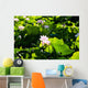 Pink Lotus Flowers Growing Among Leaves Wall Mural