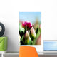 China Pink Tulips Wall Mural
