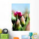China Pink Tulips Wall Mural