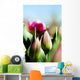 China Pink Tulips Wall Mural