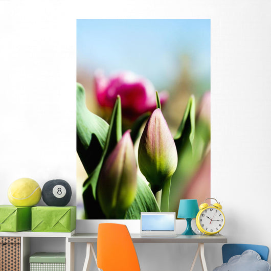 China Pink Tulips Wall Mural