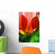 Red Tulip Wall Mural