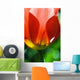 Red Tulip Wall Mural
