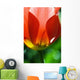 Red Tulip Wall Mural