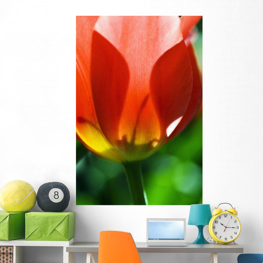 Red Tulip Wall Mural