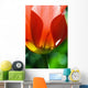 Red Tulip Wall Mural
