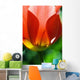 Red Tulip Wall Mural