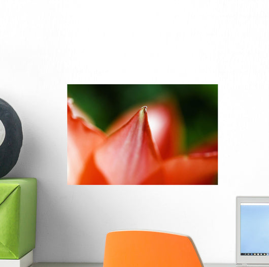 Red Tulip Wall Decal
