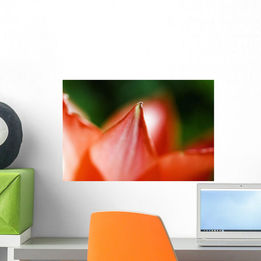 Red Tulip Wall Decal