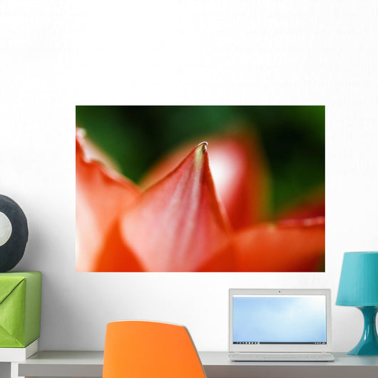 Red Tulip Wall Decal