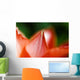 Red Tulip Wall Decal