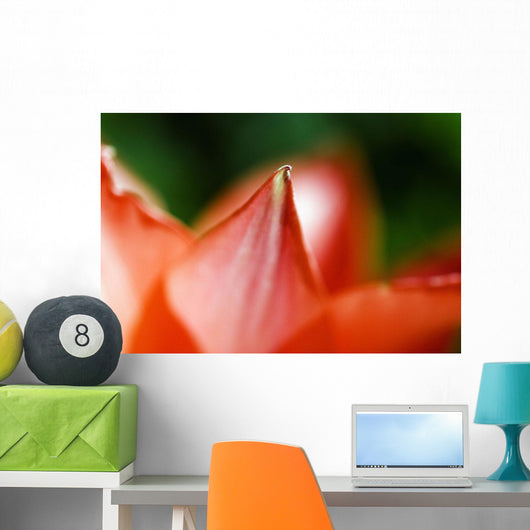 Red Tulip Wall Decal