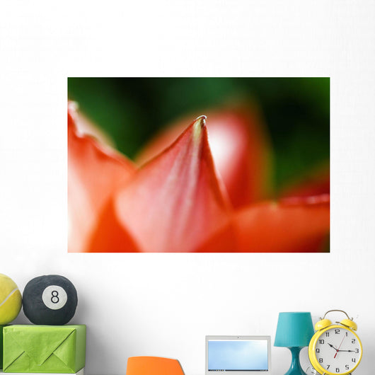 Red Tulip Wall Decal