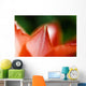 Red Tulip Wall Decal