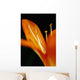 Extreme Close-up Orange Day Wall Decal
