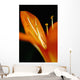 Extreme Close-up Orange Day Wall Decal